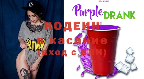 индика Володарск