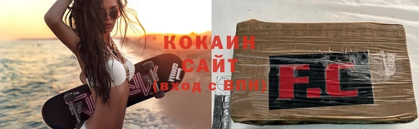 индика Володарск