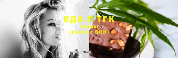 индика Володарск