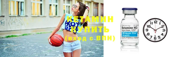 индика Володарск