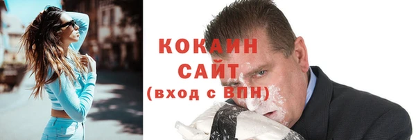 индика Володарск