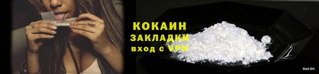 индика Володарск