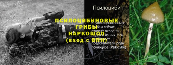 Альфа ПВП Верея