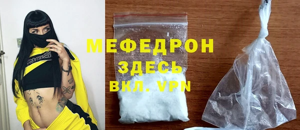 индика Володарск