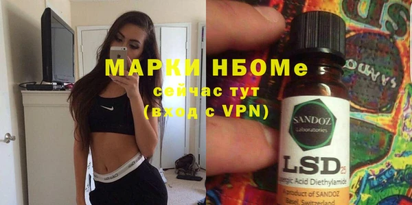 индика Володарск