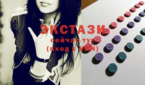 индика Володарск