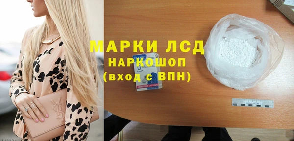 индика Володарск