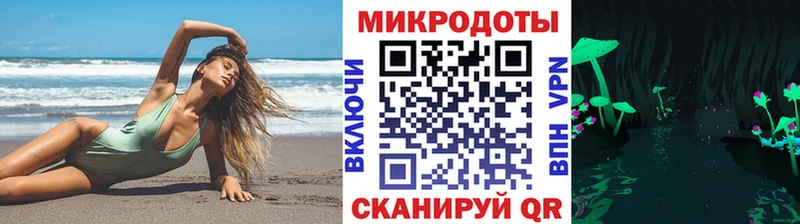 Псилоцибиновые грибы мицелий  Купить  Новая Ладога 